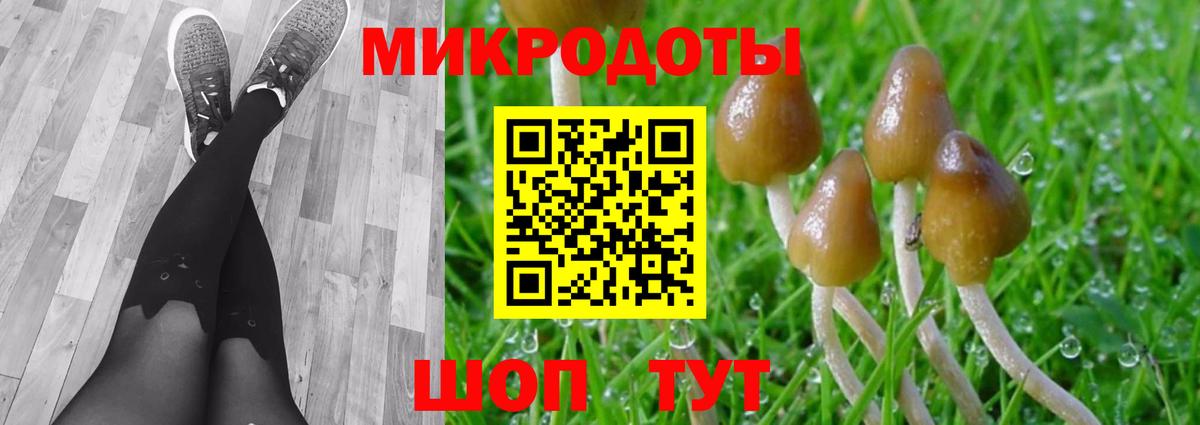 Псилоцибиновые грибы Psilocybine cubensis Балашиха