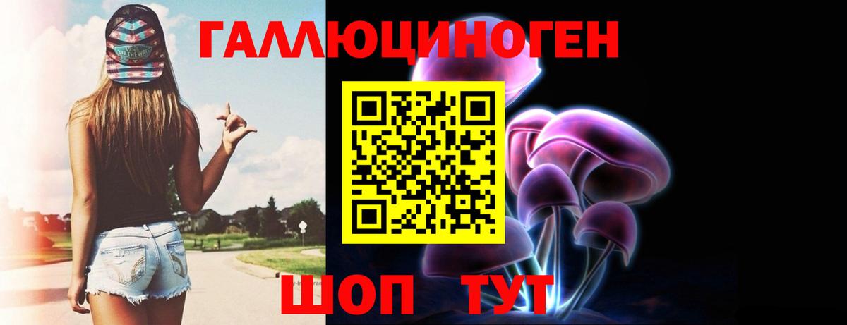 Псилоцибиновые грибы Psilocybine cubensis  Вход с VPN  Псилоцибиновые грибы мицелий  Балашиха 